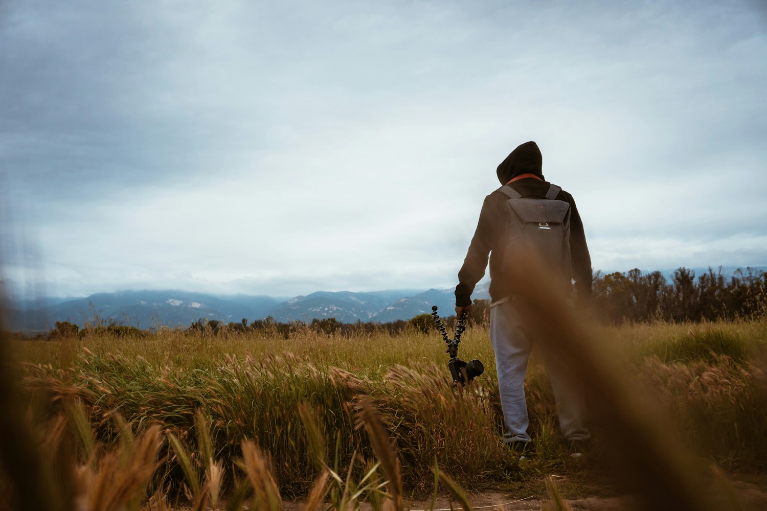 最新情感慢曲,探索现代情感的细腻旋律