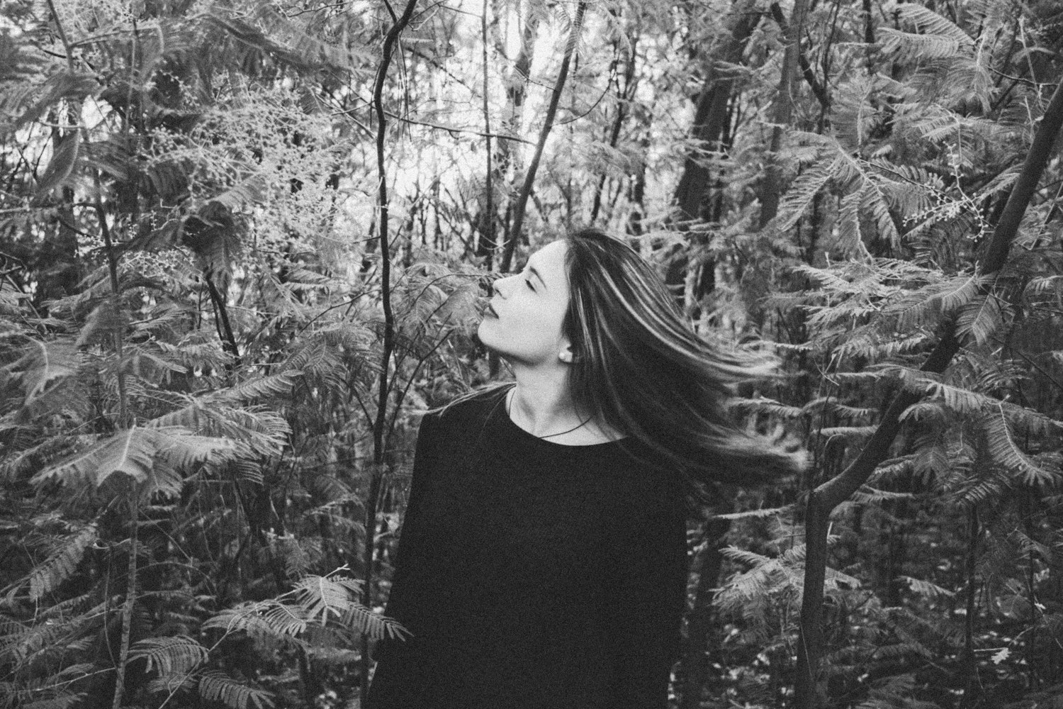 最新情感慢曲,探索现代情感的细腻旋律