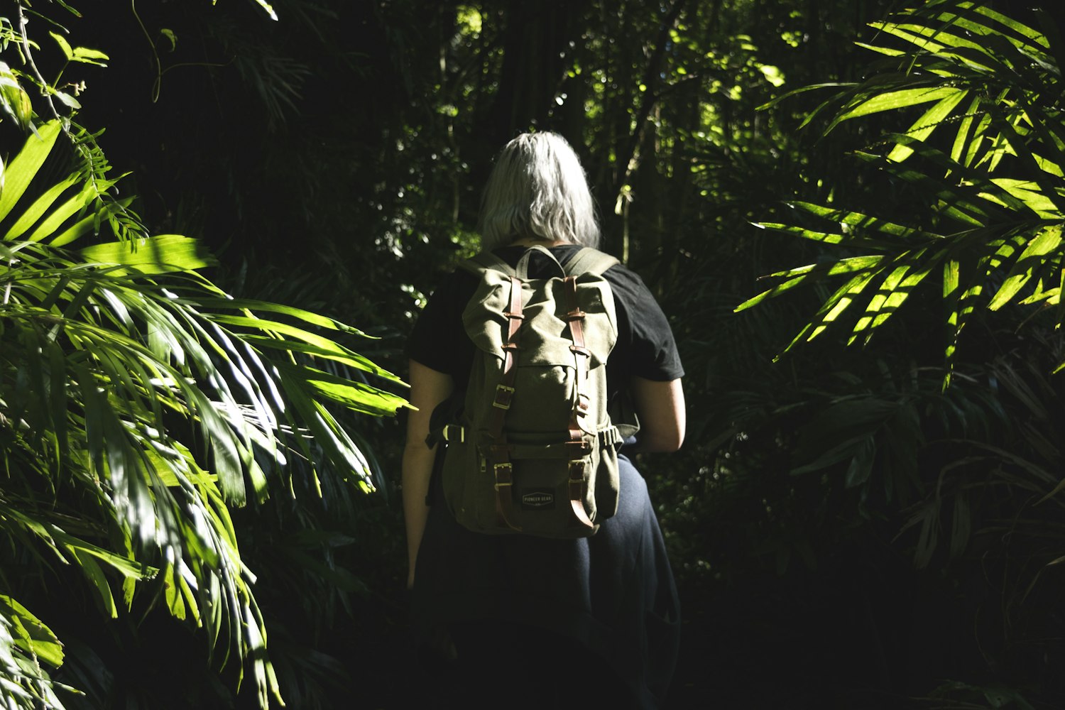 孤星寒月最新动态揭秘,先锋力量探索未知世界