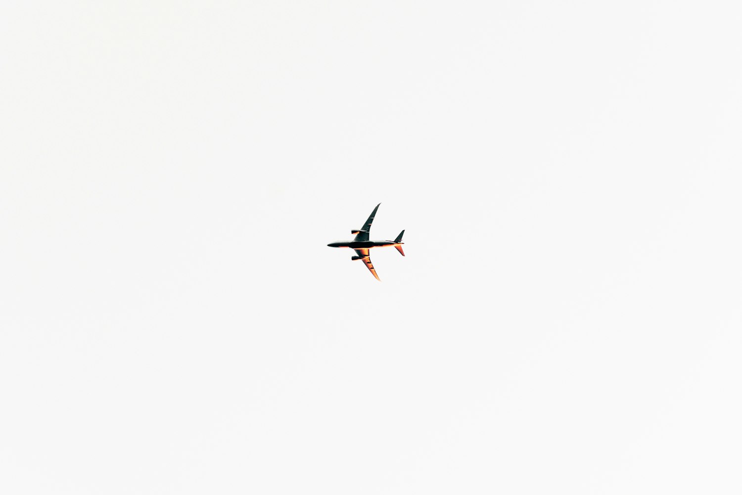 南江机器人最新动态资讯