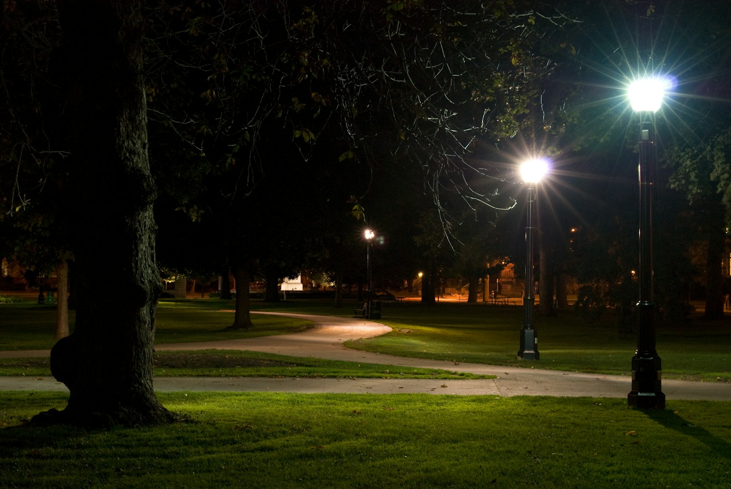 丹宁军,演艺之路的闪耀之星