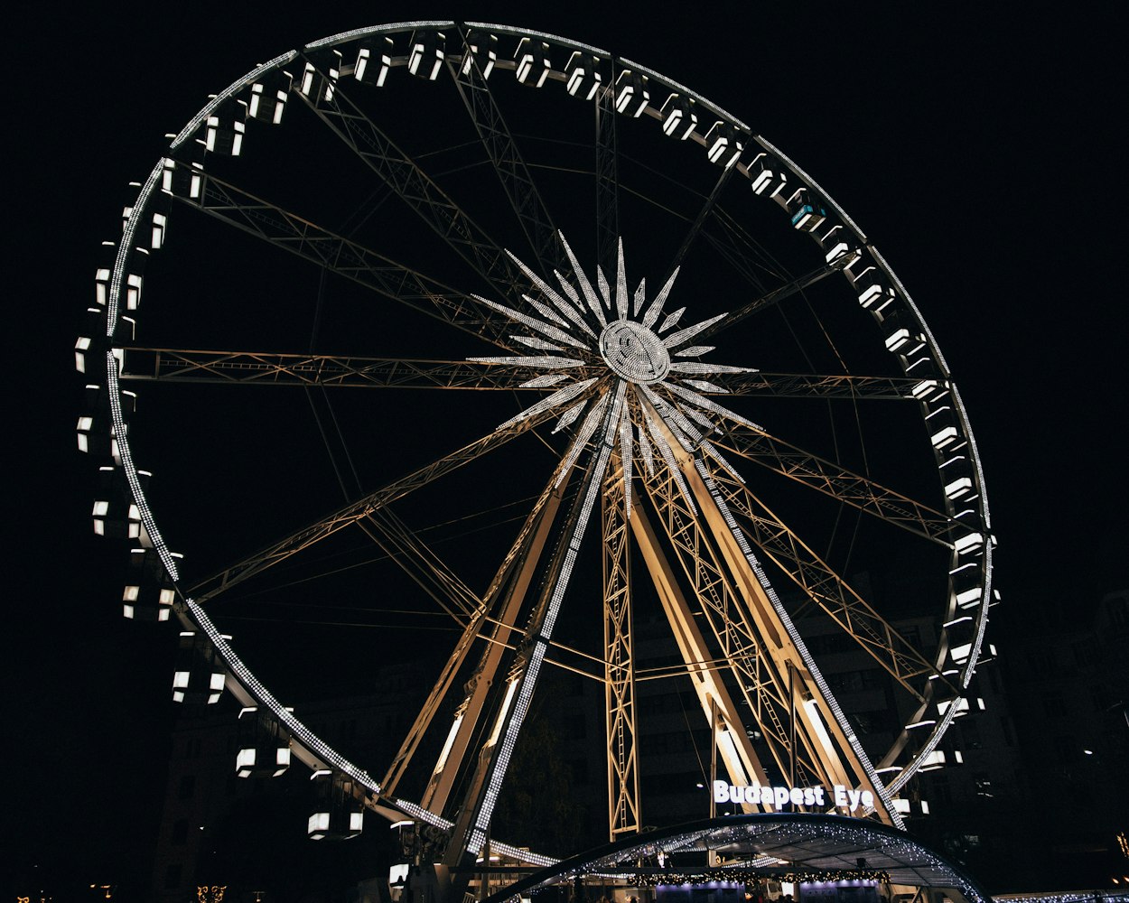 国博海洋乐园最新动态揭秘