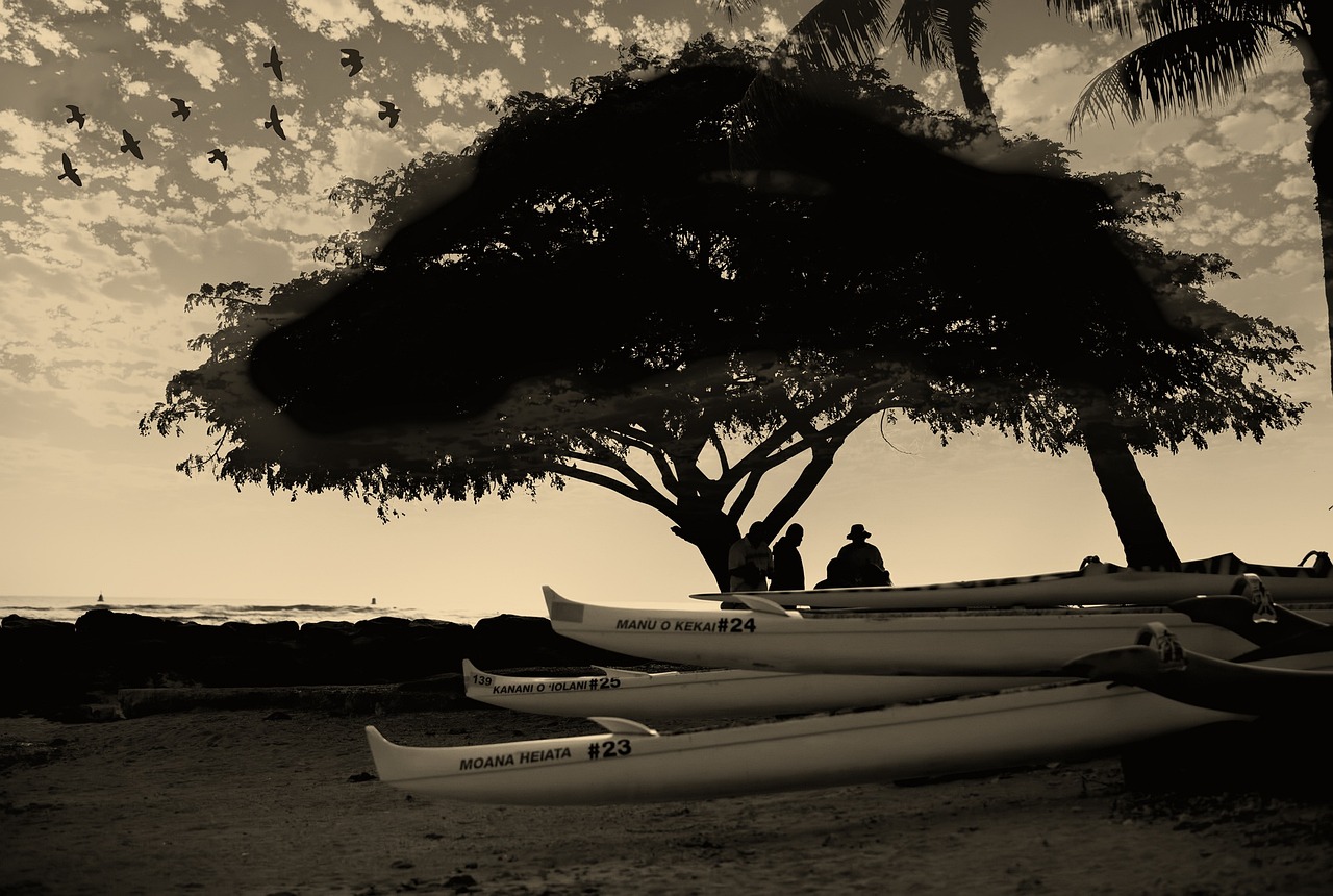 加拿大电视剧,探索与赏析之旅