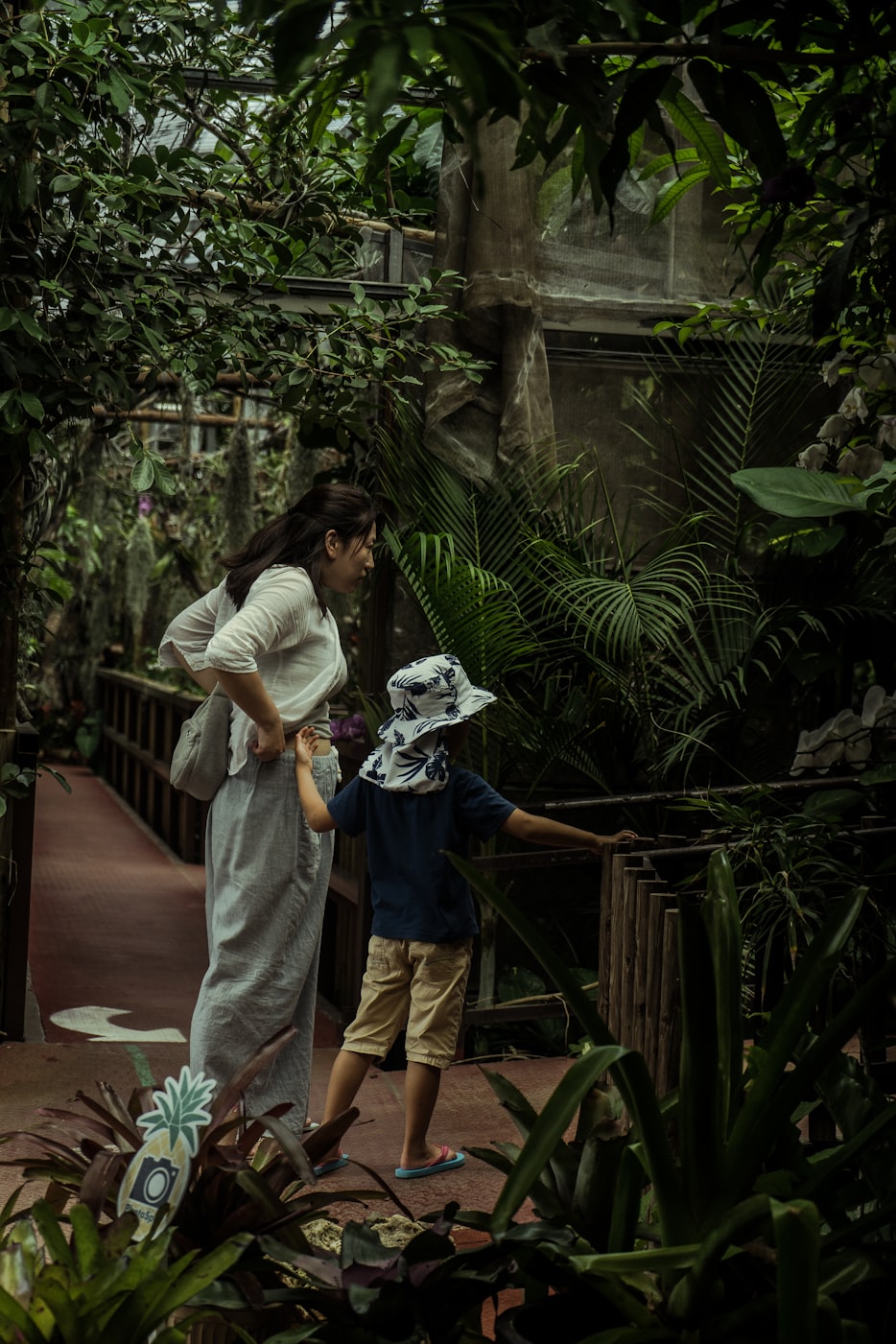 冒险电视剧大全,探索未知世界的精彩瞬间之旅