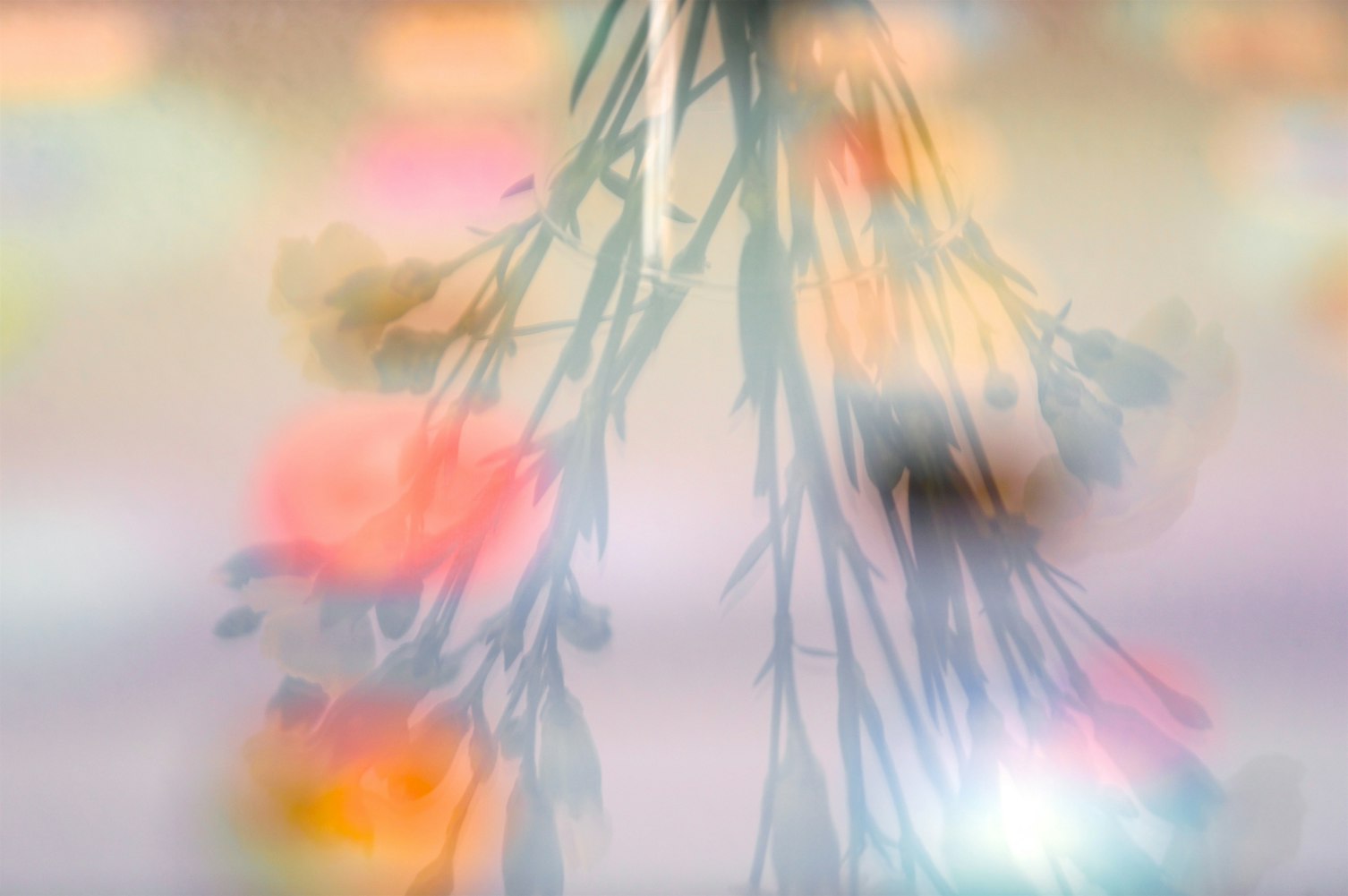 动漫女生侧面,独特展现美与魅力