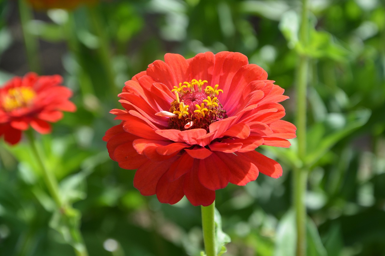 关税最新动态,全球关税调整及其影响深度解析