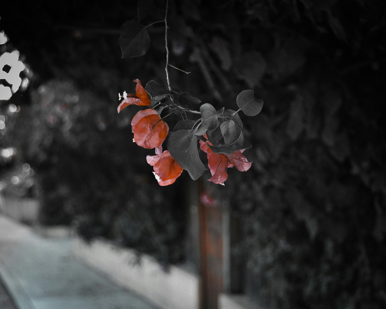 2025年11月24日 第4页