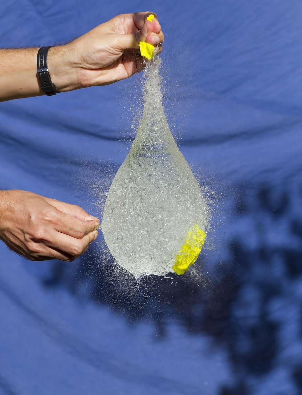 台风海棠最新消息,十号台风动态及影响分析