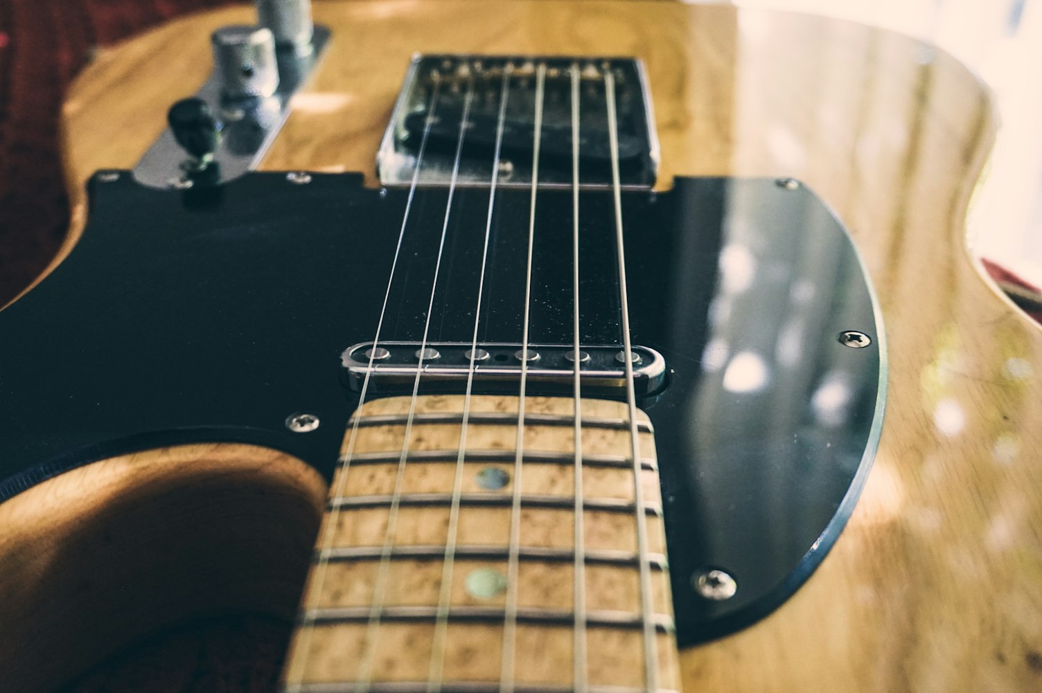 探索明星声音背后的魅力与力量