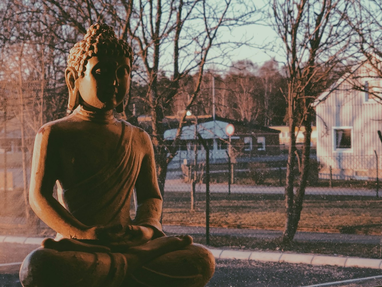 探索电影艺术魅力,外国经典电影之旅
