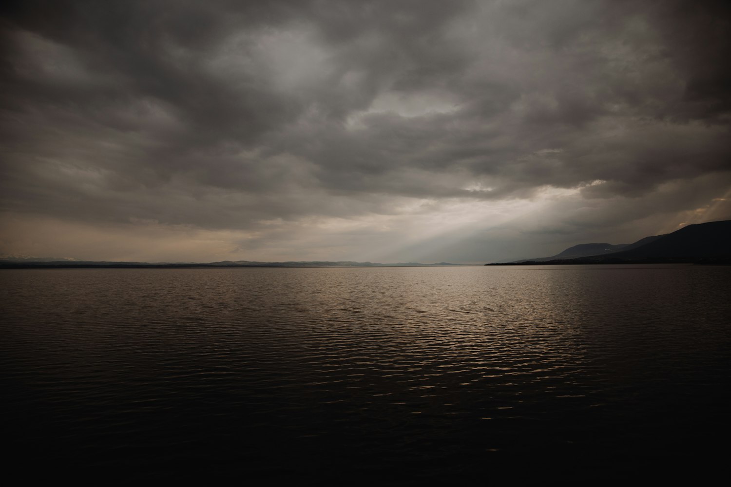 郑海陆最新动态,探索前沿科技,引领未来发展之路