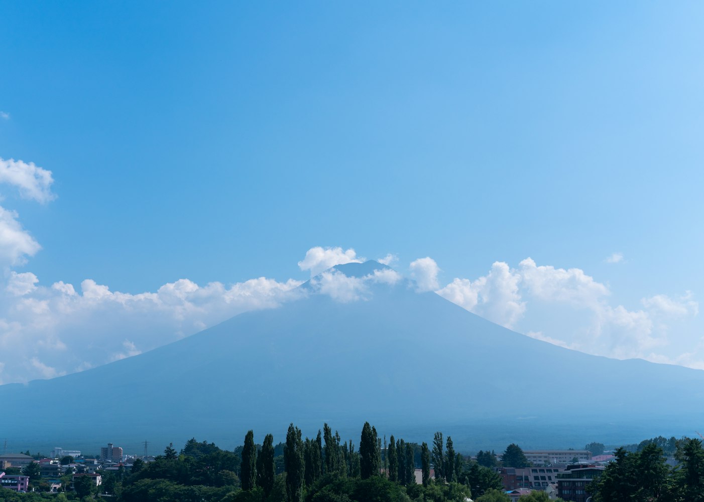 贵定四季花谷最新动态更新,最新消息汇总