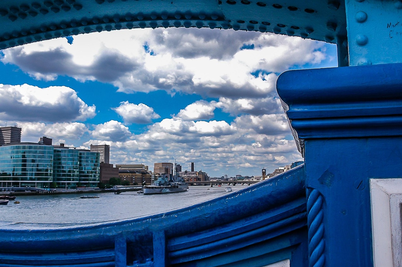 最新小葱价格动态,市场走势、影响因素与未来趋势深度解析