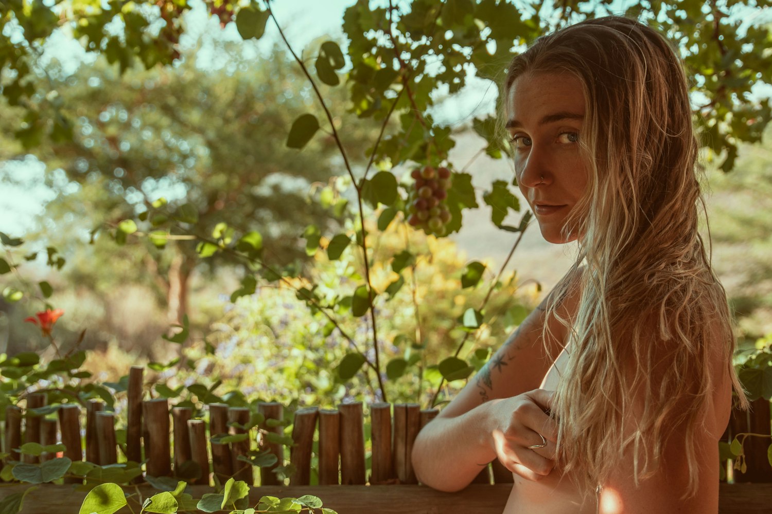 全城热恋乡村版新一季上映,探寻乡村爱情的独特魅力