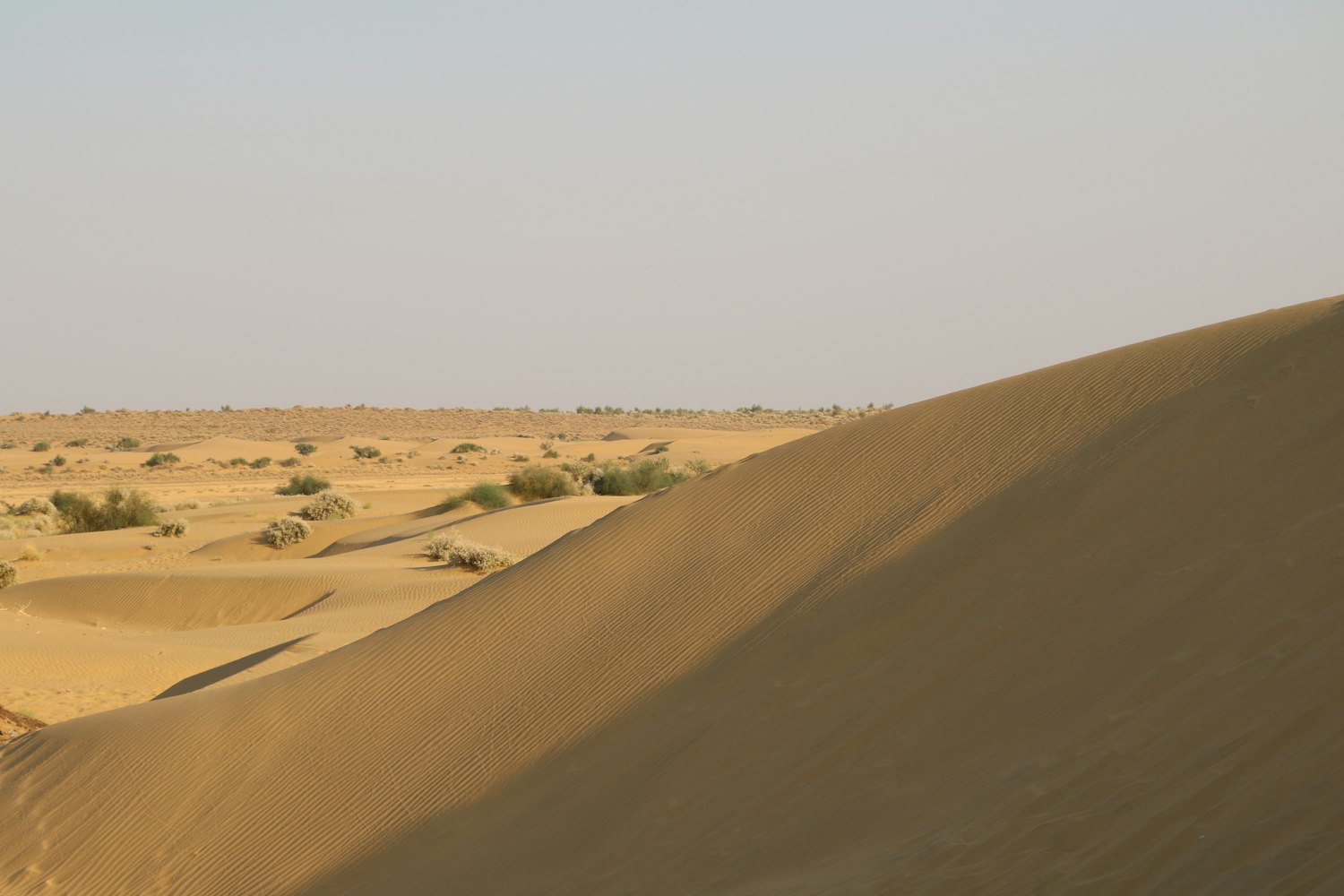 最新遥感新闻,科技前沿的洞察与探索之旅