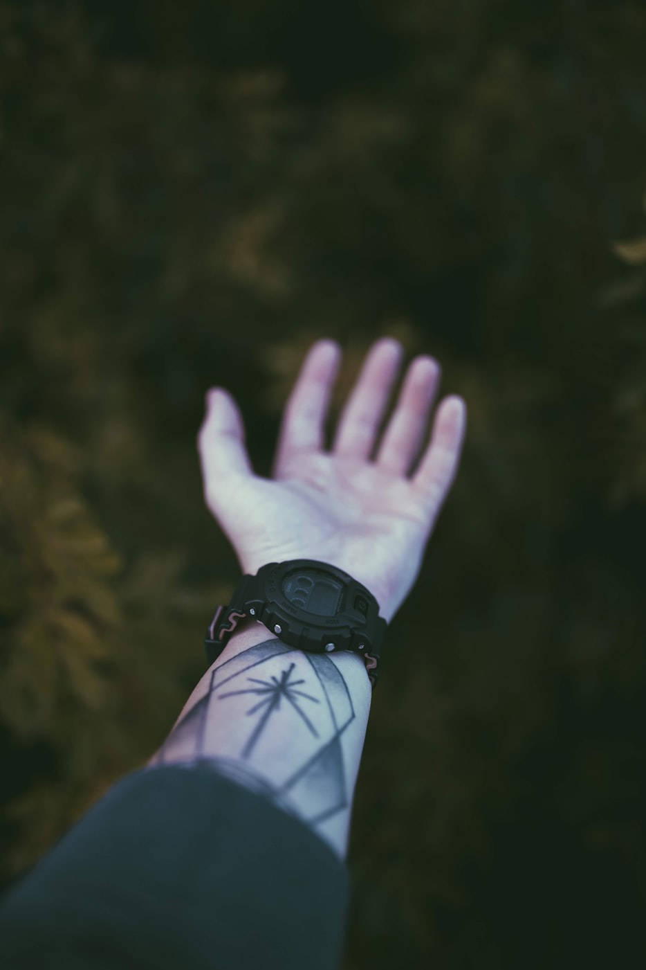 阳江海陵岛最新发展动态,把握发展与变化的脉搏