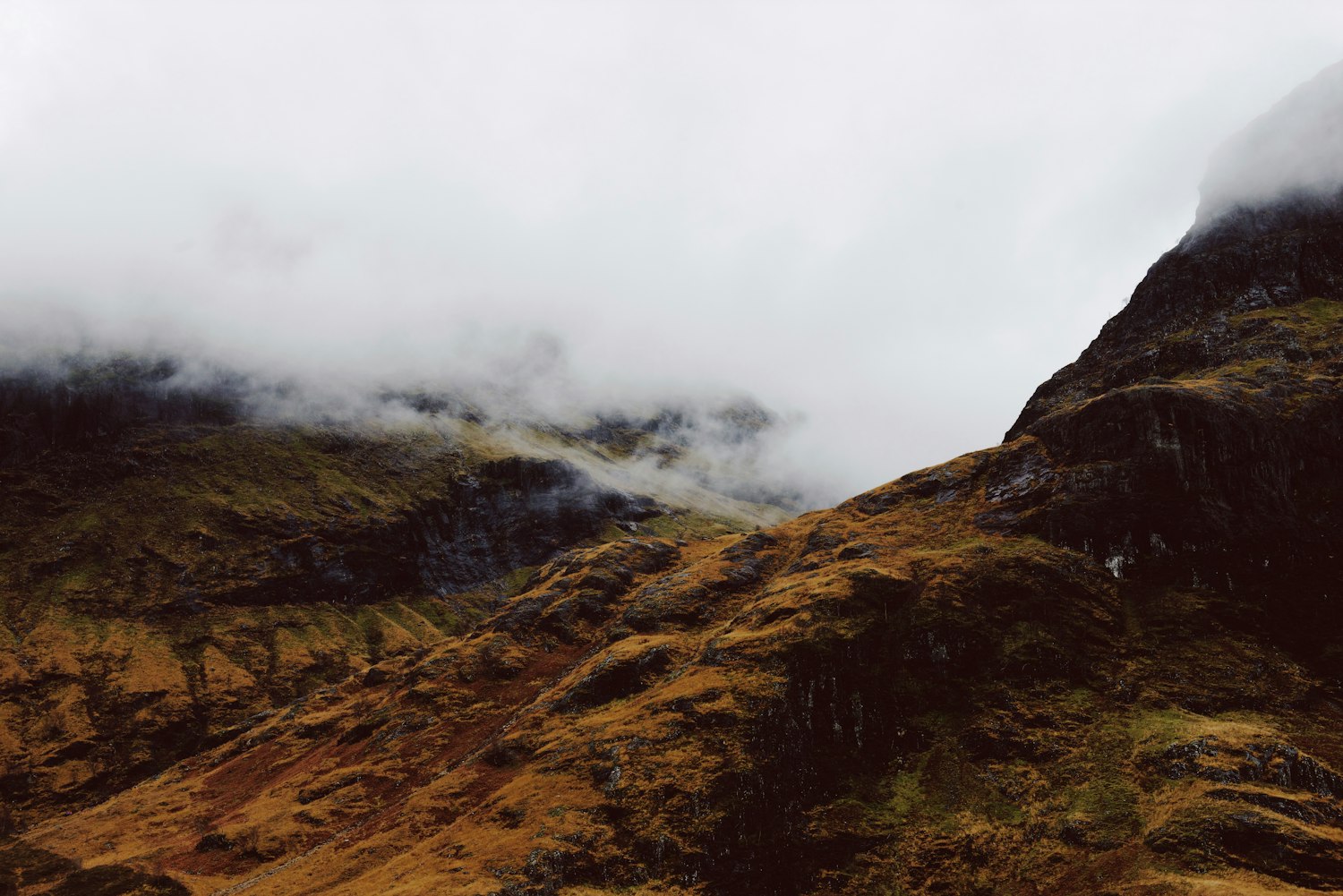 蠡县范蠡大观最新动态速递